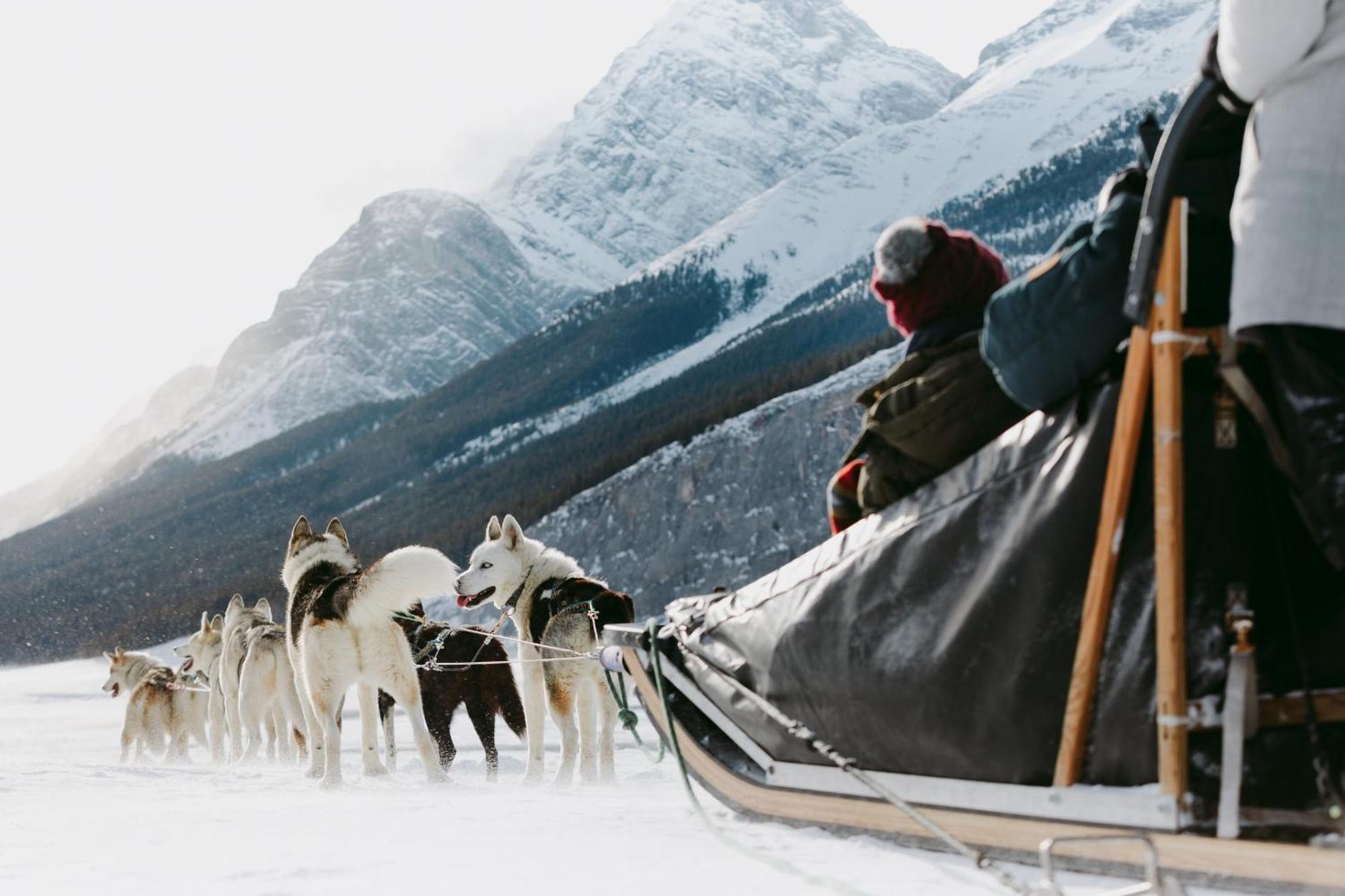 Special! New Downtown Mtn View Free Parking 2B&2B Lägenhet Canmore Exteriör bild